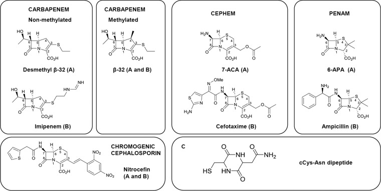 FIG 1