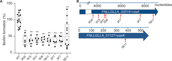 FIG 1