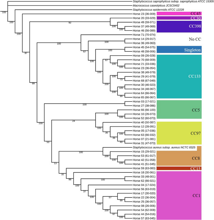 FIG 2