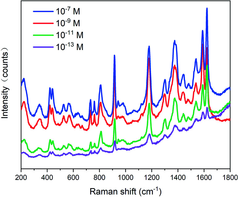 Fig. 10