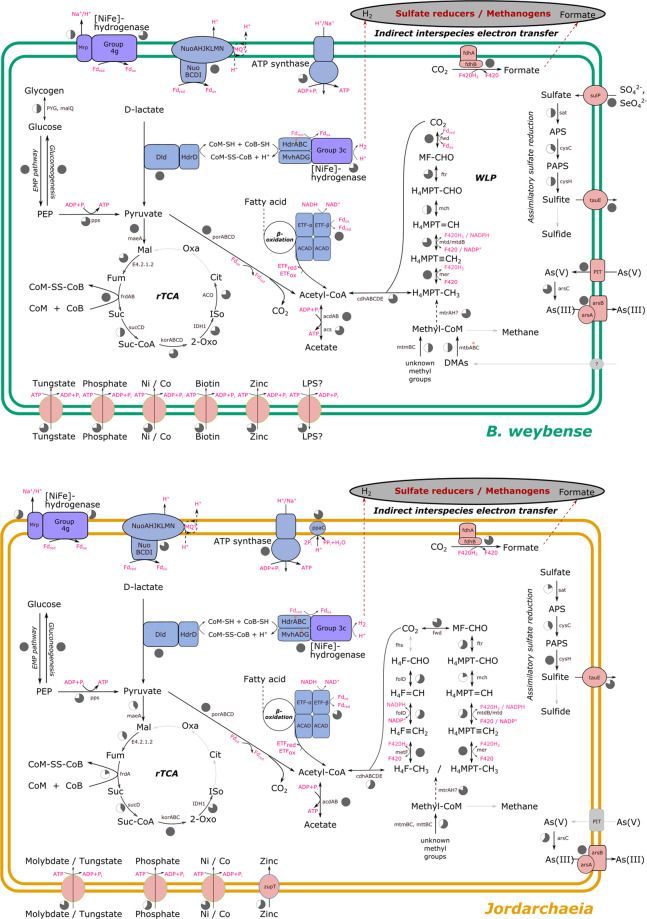 Fig. 2