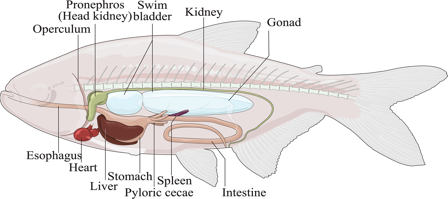 Extended Data Fig. 1 |