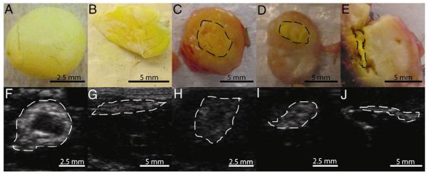 Fig. 8