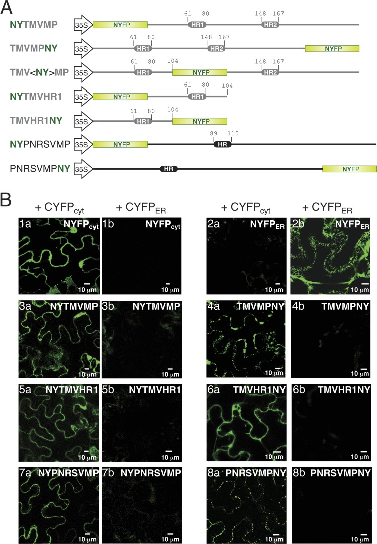 FIG 3