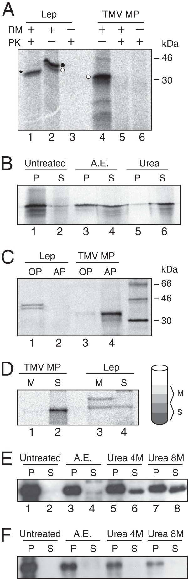 FIG 2