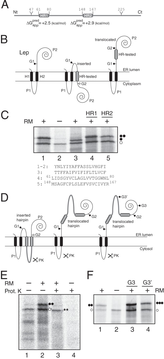 FIG 1