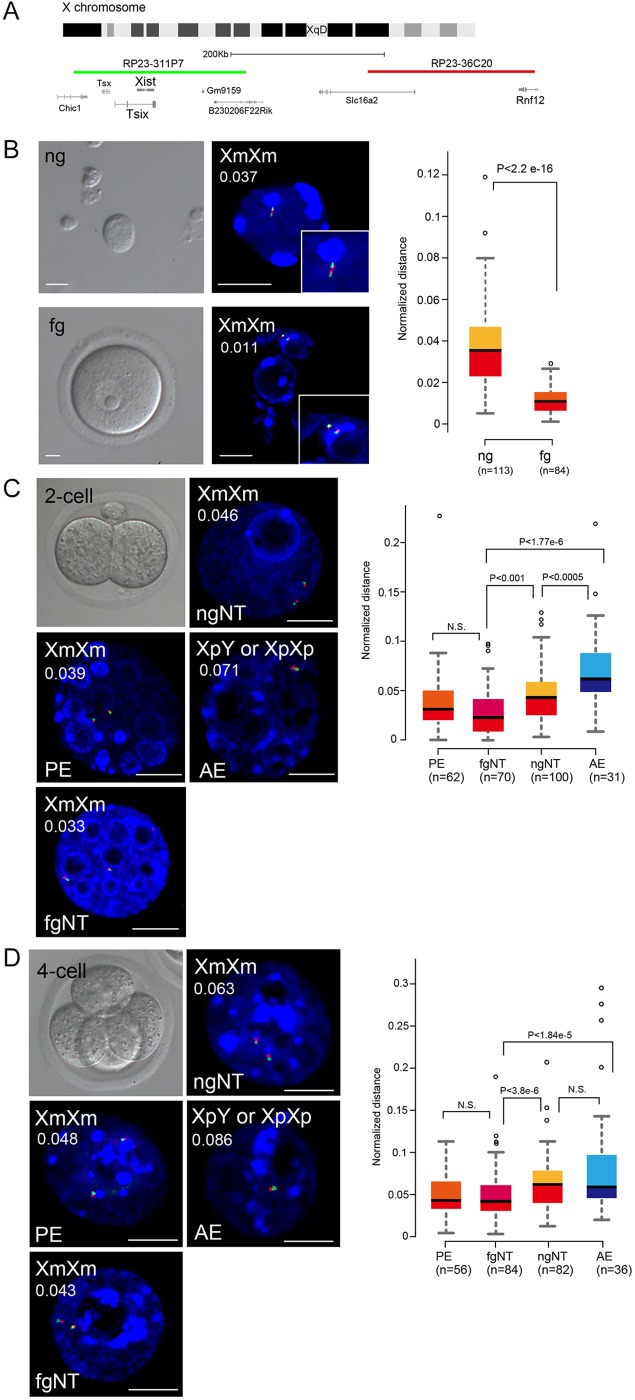 Fig. 3.