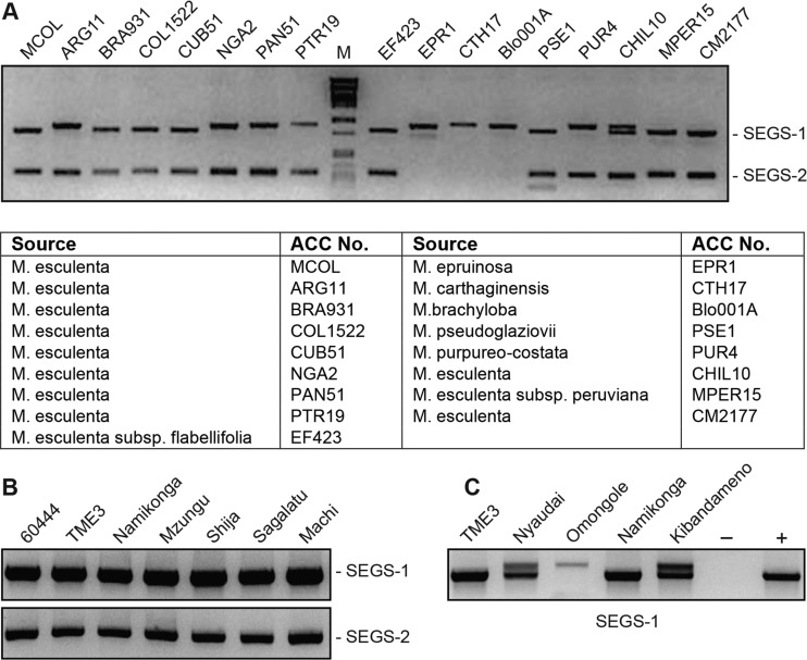 FIG 6