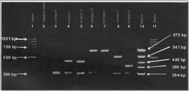 Fig. 2