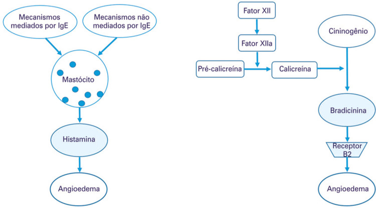 Figura 2