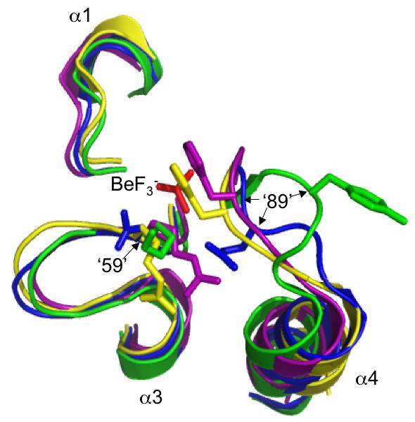 Fig. 3