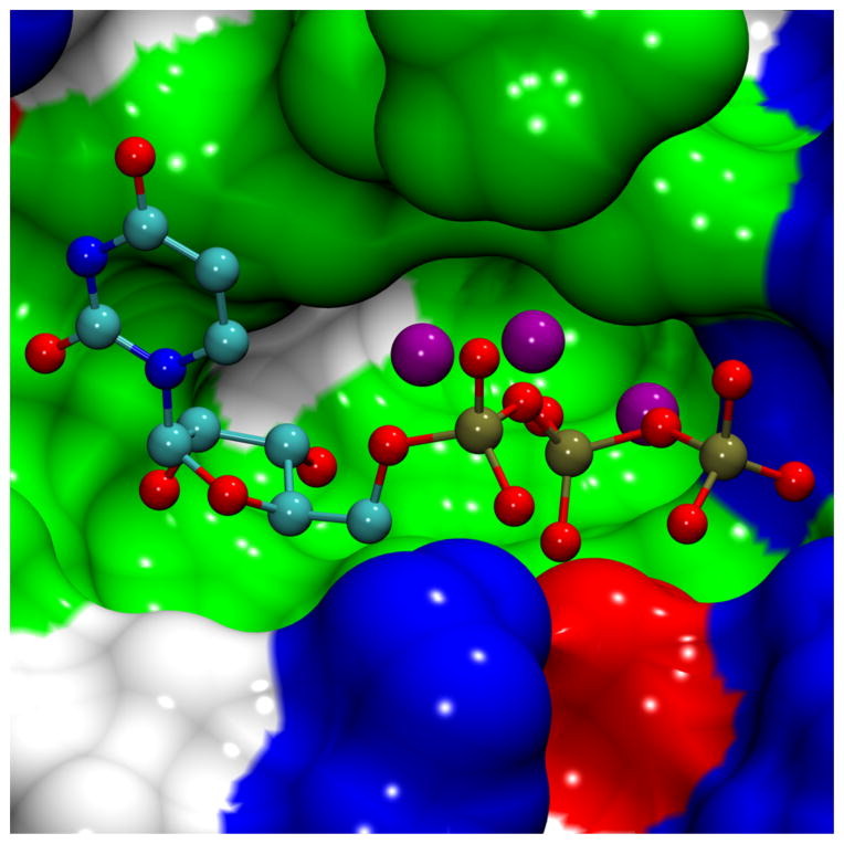 FIGURE 2