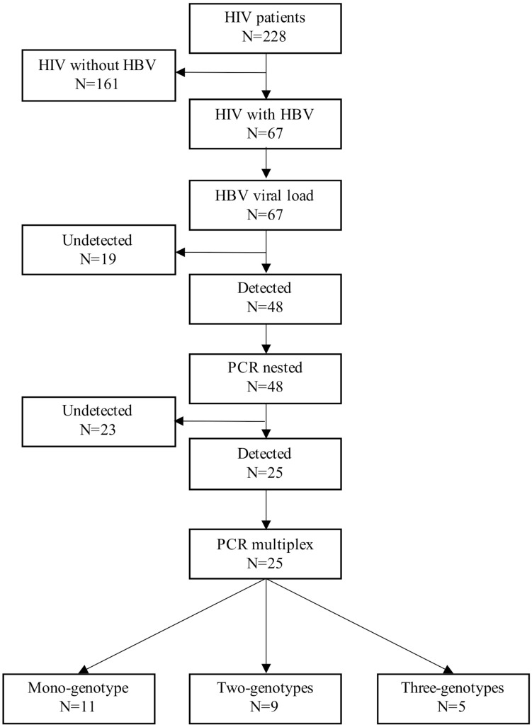 FIGURE 1