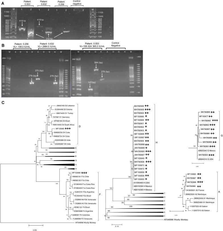 FIGURE 2