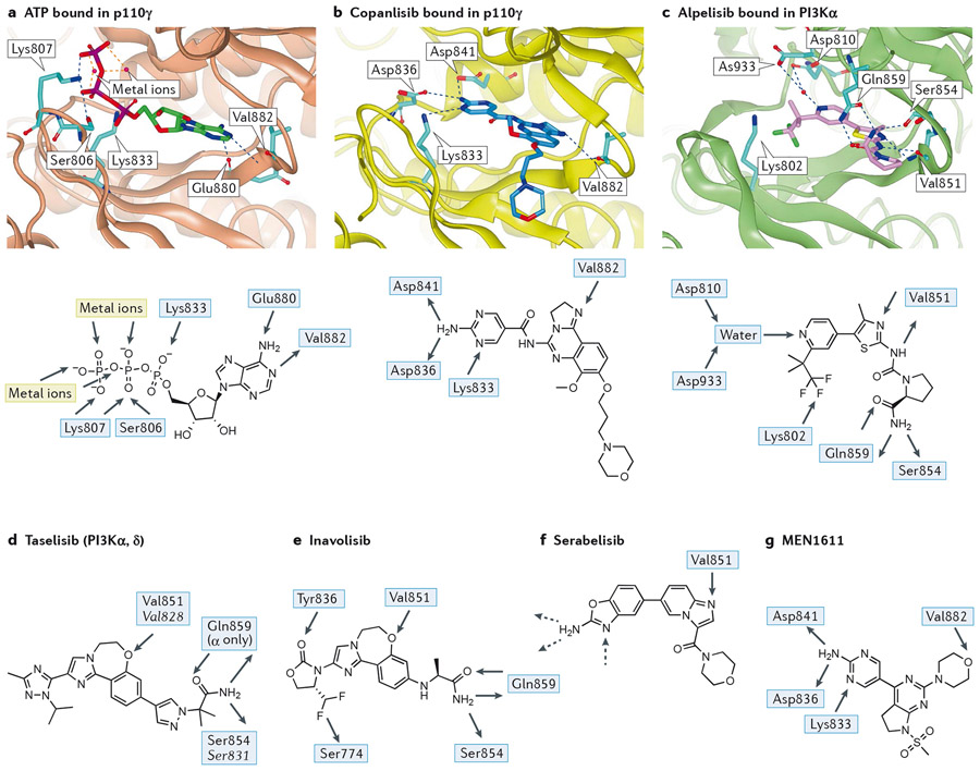 Figure 2 –