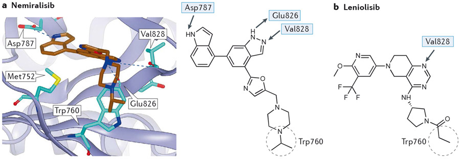 Figure 3 –