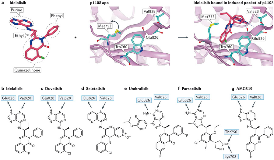 Figure 4 –