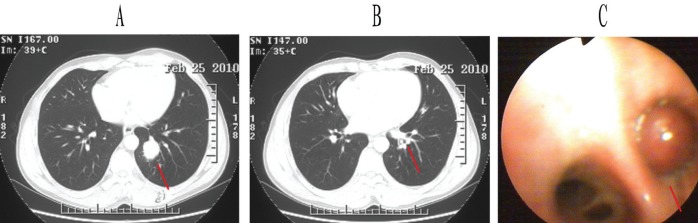 Figure 1)