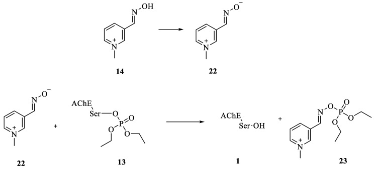 Scheme 4