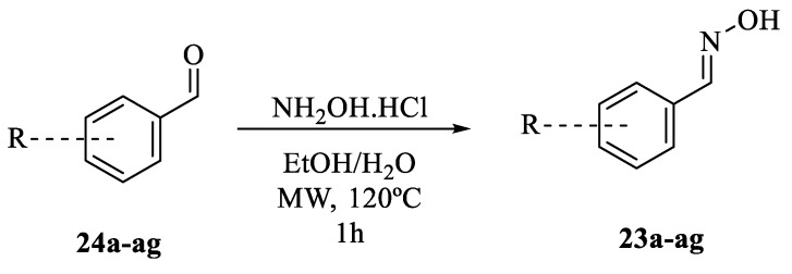 Scheme 5