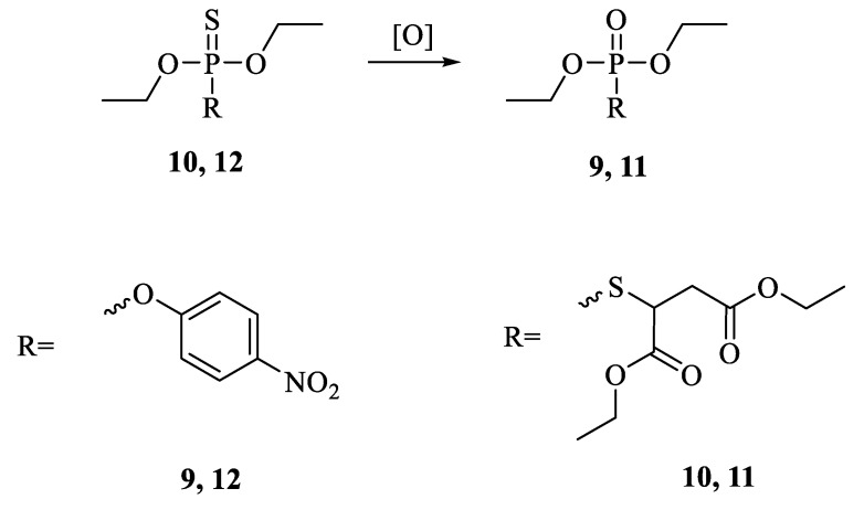 Scheme 2