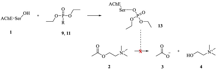 Scheme 3