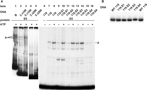 Figure 5.