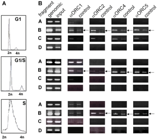 Figure 2.