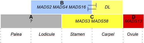 Figure 5.