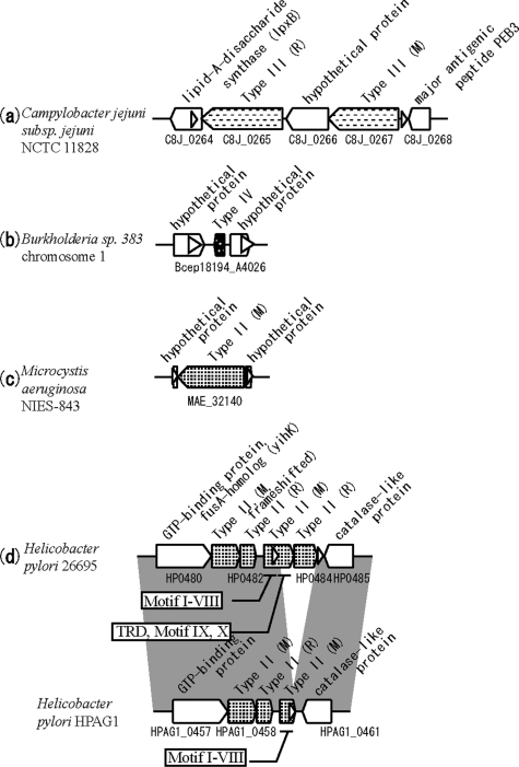 Figure 9.