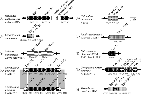 Figure 10.