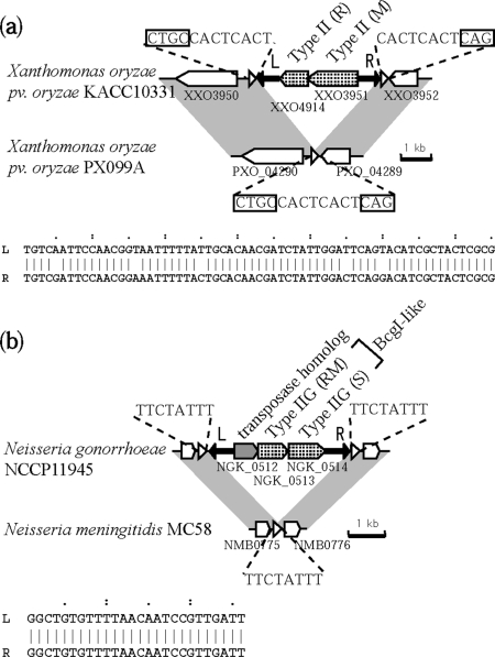 Figure 11.