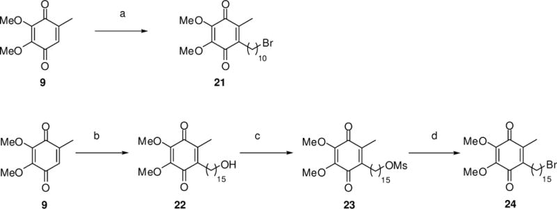 Scheme 3