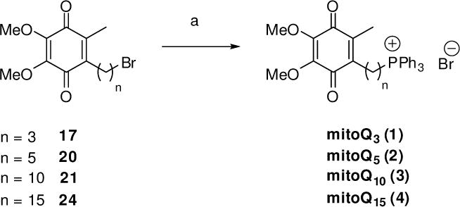 Scheme 4