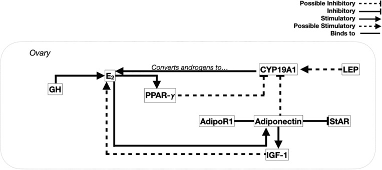 FIGURE 2