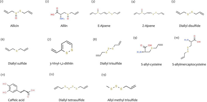 FIGURE 2