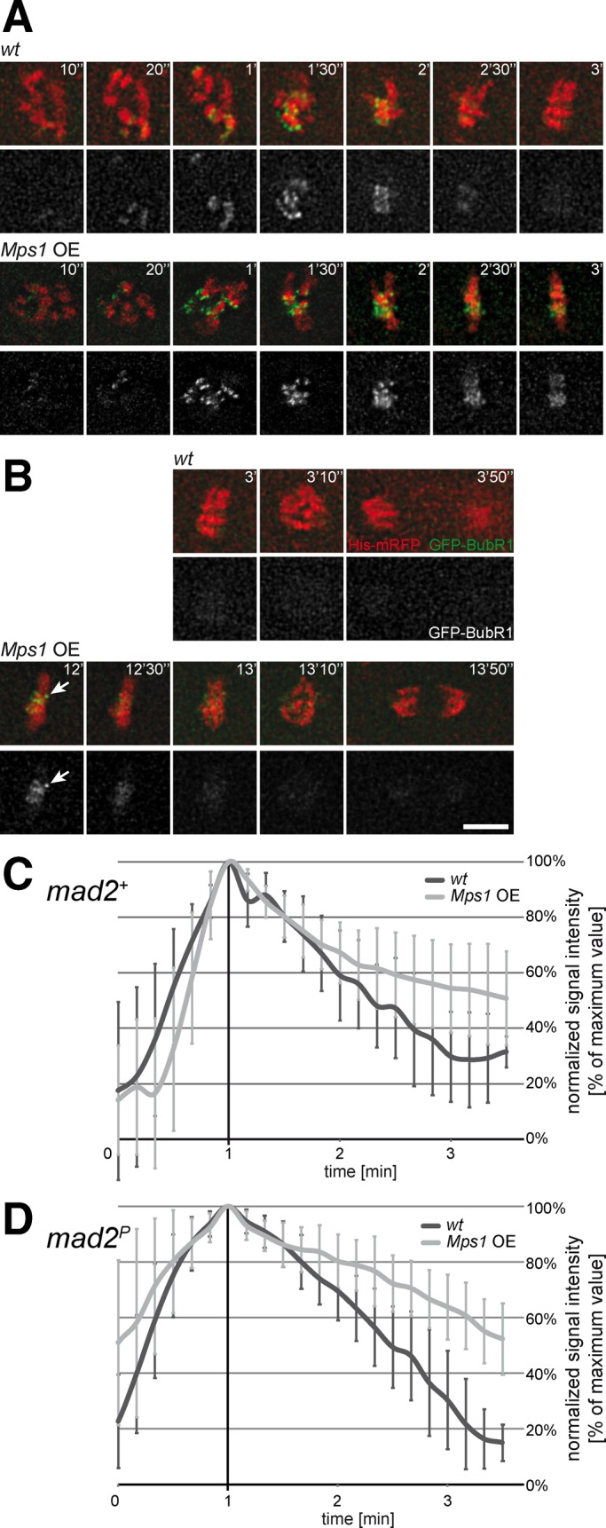 FIGURE 6: