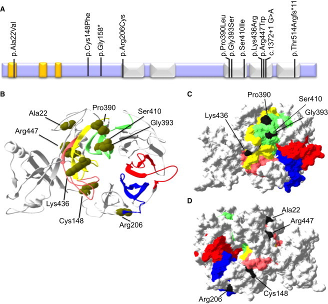 Figure 2