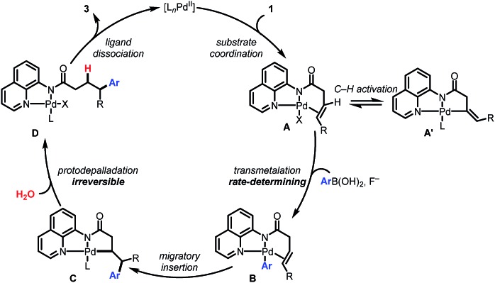 Scheme 5