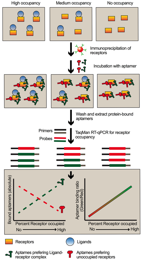 Figure 6: