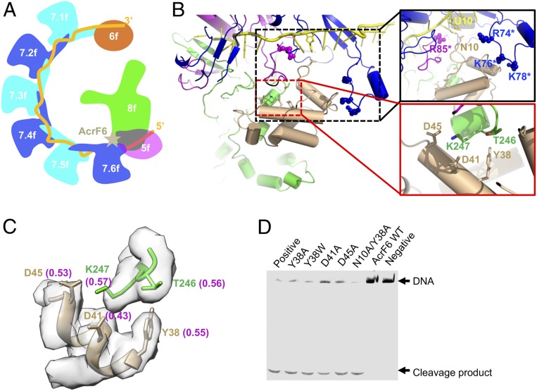 Fig. 4.