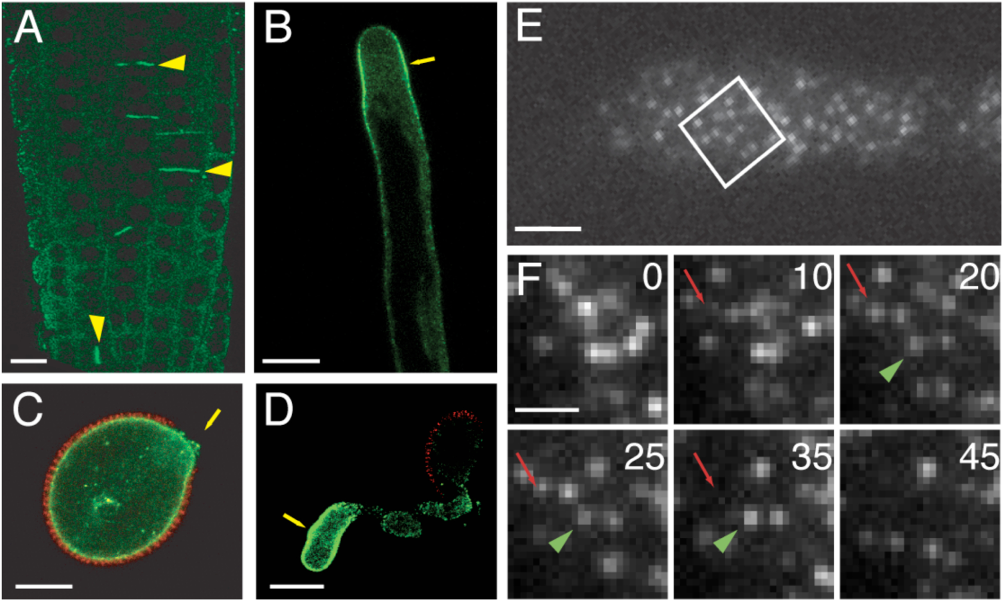 Figure 4.