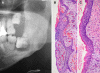 Fig. 4