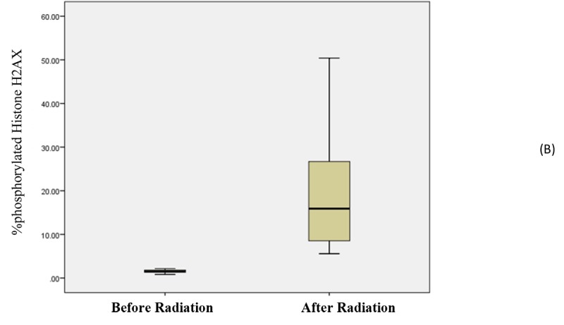 Figure2B