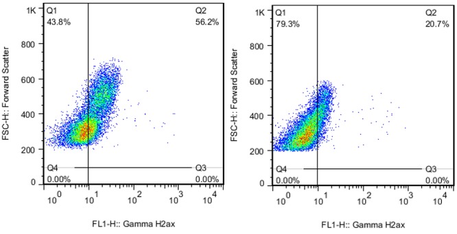 Figure1 B