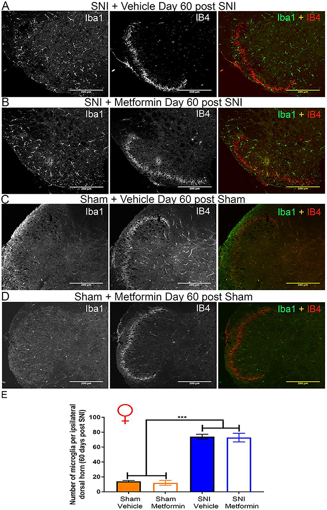 Figure 4: