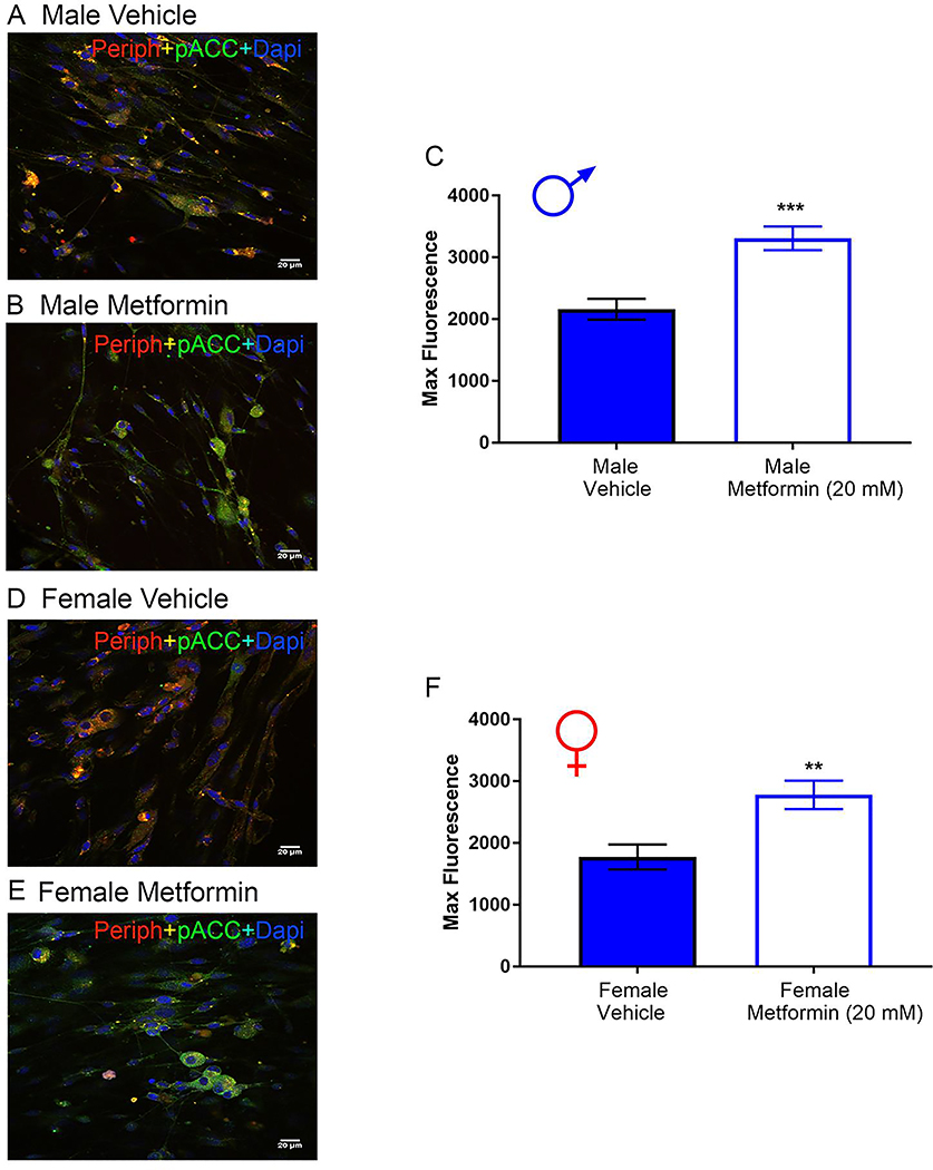 Figure 12: