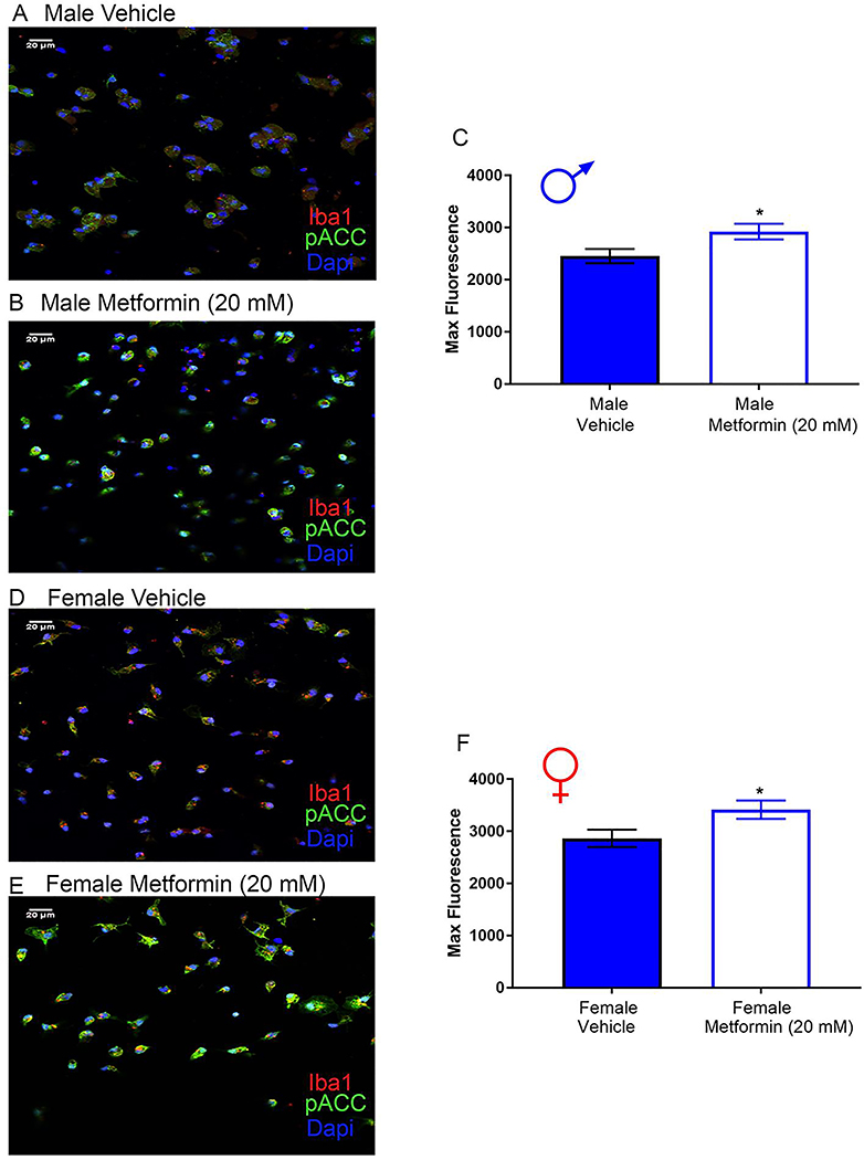 Figure 13: