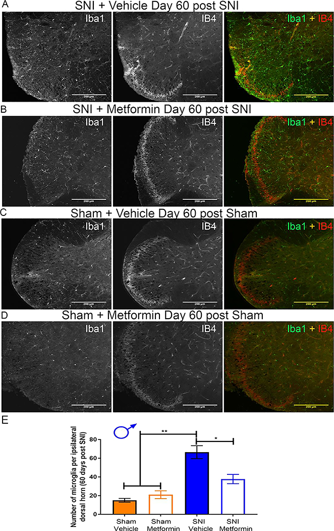 Figure 3: