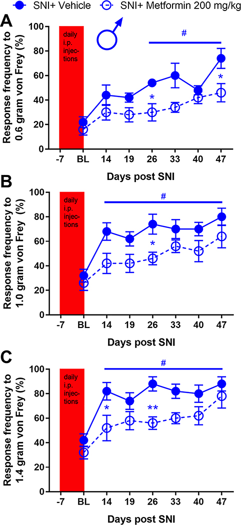 Figure 7: